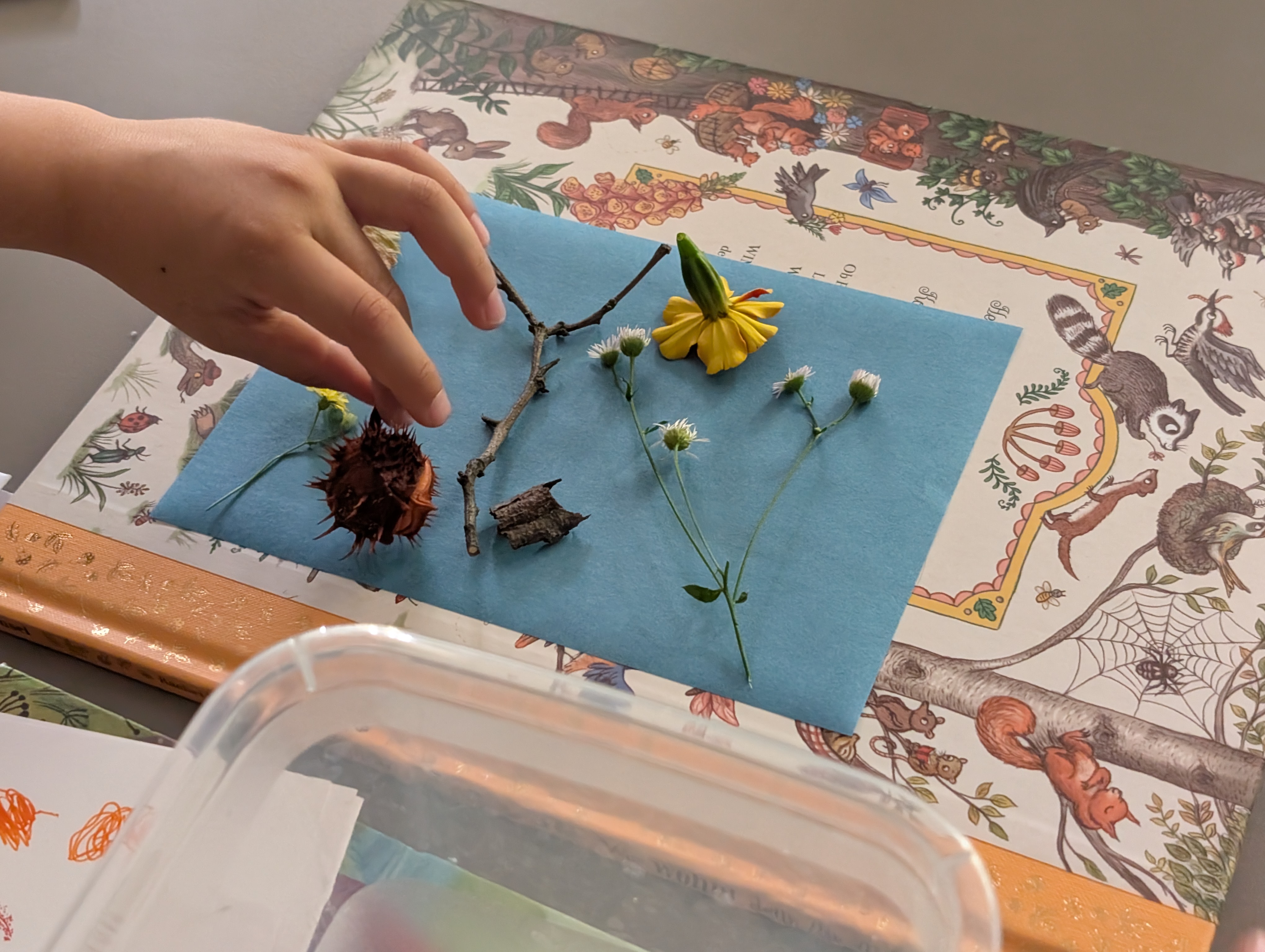 Unser Ferienworkshop l&auml;uft &ndash; mach mit!